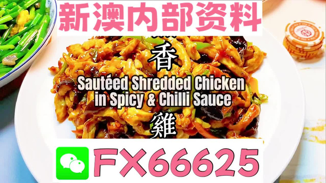 新奧天天精準資料大全，全方位解讀與應用指南，新奧天天精準資料大全，全方位解讀與應用指南手冊