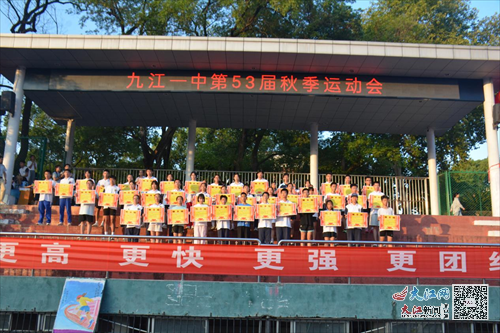 奧門(mén)一碼一肖一特一中，探索背后的秘密與魅力，澳門(mén)一碼一肖一特一中，揭秘背后的神秘魅力