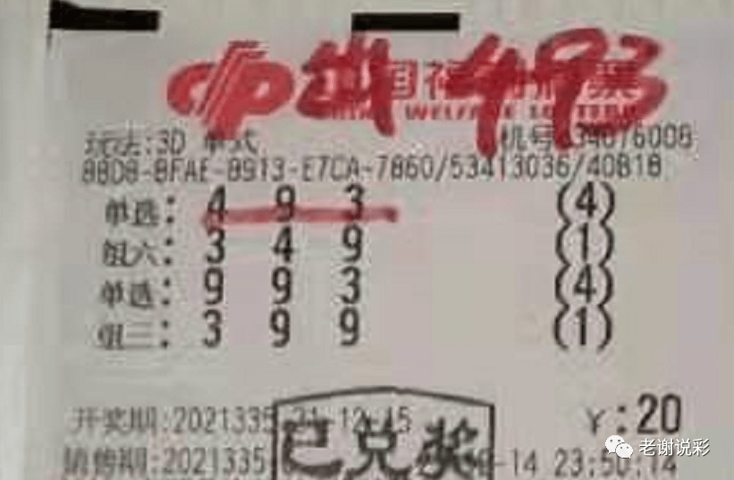 新奧門彩天天開獎資料一網(wǎng)羅萬象，揭秘彩票奧秘，揭秘彩票奧秘，新奧門彩天天開獎資料一網(wǎng)羅萬象