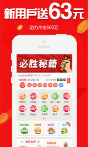 王中王欲錢請猜一肖，揭秘生肖之謎與SEO策略，揭秘生肖之謎與SEO策略，王中王欲錢請猜一肖的奧秘