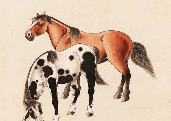 馬一王中王特平一肖圖，深度解析與SEO優(yōu)化策略，深度解析馬一王中王特平肖圖，SEO優(yōu)化策略探討