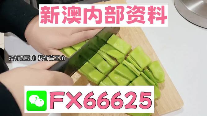新澳精選資料免費提供，探索優(yōu)質(zhì)資源的海洋，新澳精選資料免費探索，優(yōu)質(zhì)資源海洋的開啟