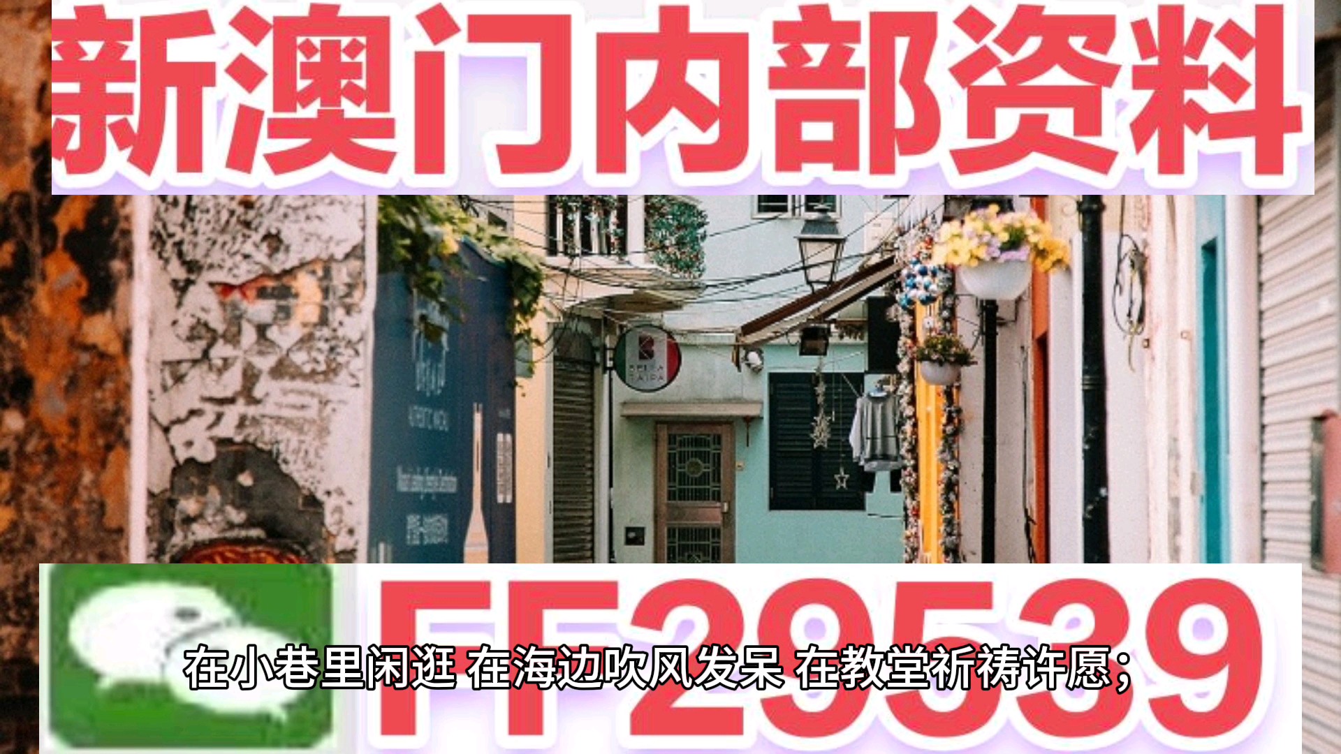 澳門資料大全——正版資料的深度探索，澳門正版資料大全，深度探索澳門資料寶庫(kù)