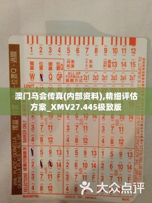 馬會傳真正版，探索正版馬會文化的魅力與價值，正版馬會文化的魅力與價值探索