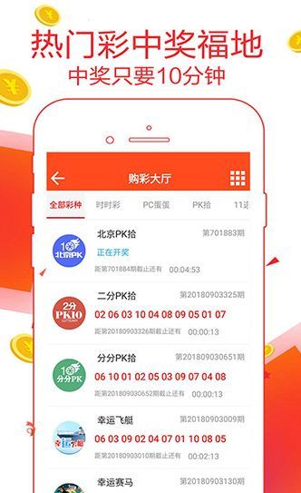 王中王一肖碼數(shù)口，深度解析與SEO優(yōu)化策略，王中王一肖碼數(shù)口深度解析與SEO優(yōu)化策略探討