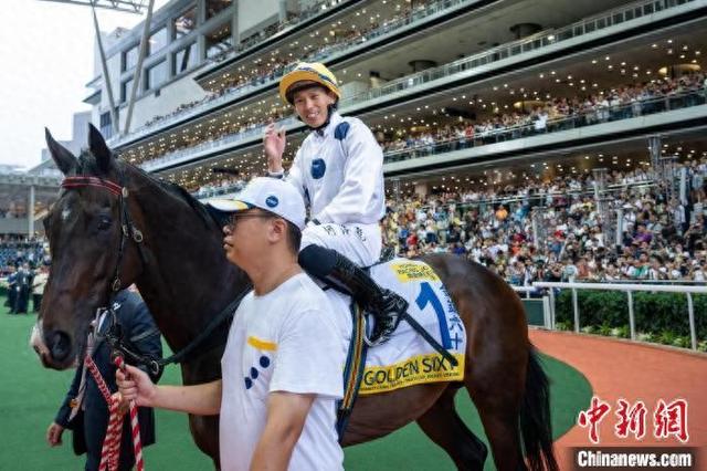 香港特馬王資料免費(fèi)公開，揭秘背后的秘密，香港特馬王資料揭秘，免費(fèi)公開背后的秘密