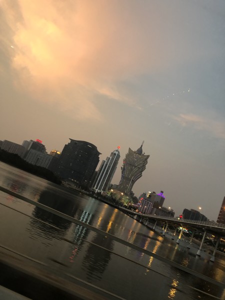 澳門(mén)今晚必開(kāi)一肖一特，深度解析與預(yù)測(cè)，澳門(mén)今晚生肖特碼深度解析與預(yù)測(cè)，一肖一特必開(kāi)趨勢(shì)探討
