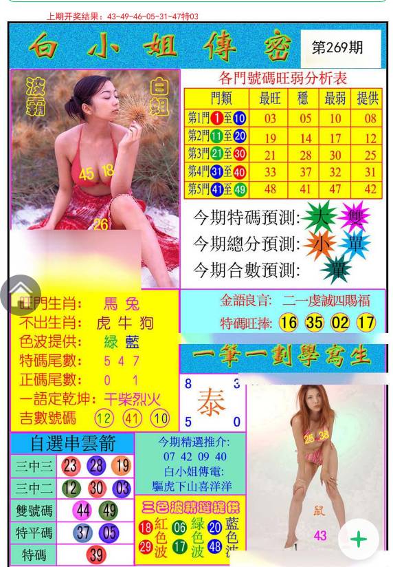揭秘白小姐與王中王平持一肖的神秘面紗，白小姐與王中王，揭秘神秘生肖預測面紗