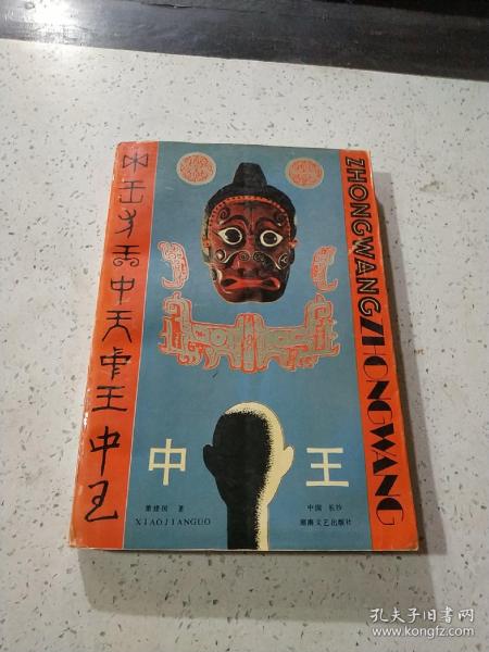 王中王資料與肖中特，深度解析，王中王資料與肖中特深度剖析