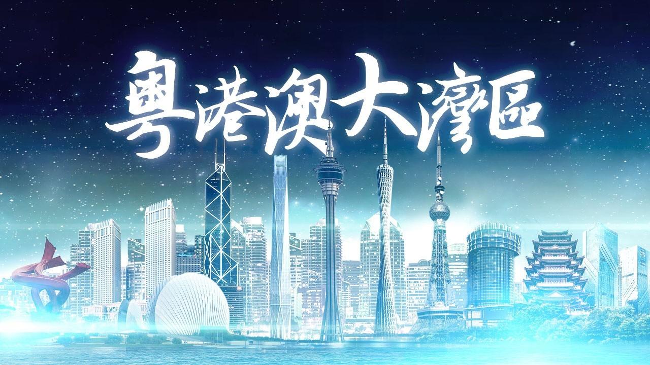 2025年香港正版免費資料全面解析，香港正版免費資料全面解析（2025版）