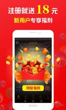 王中王一肖中打一，深度解析一種獨特的文化現(xiàn)象，王中王一肖中打一，獨特文化現(xiàn)象的深度探究