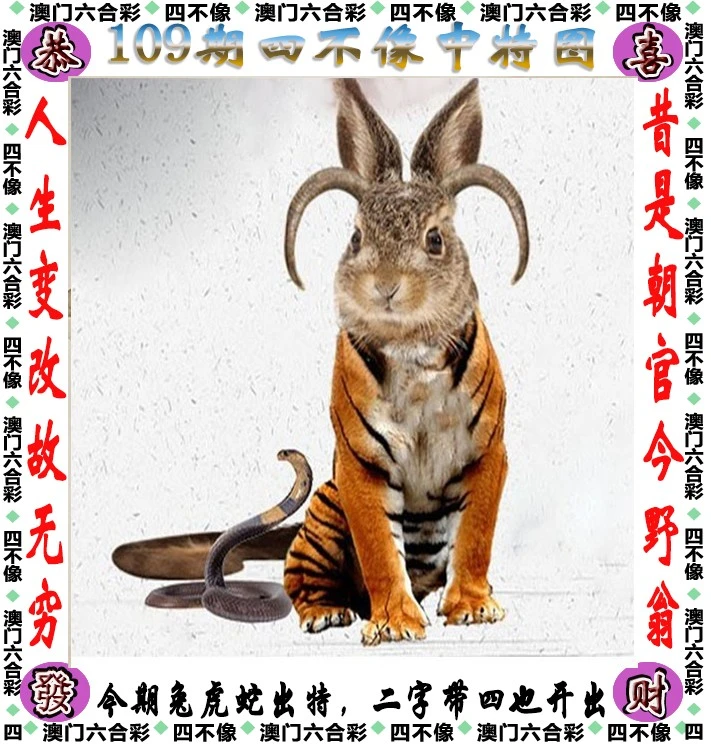 王中王四不像必中一肖——揭秘背后的秘密，揭秘王中王四不像必中一肖的秘密真相