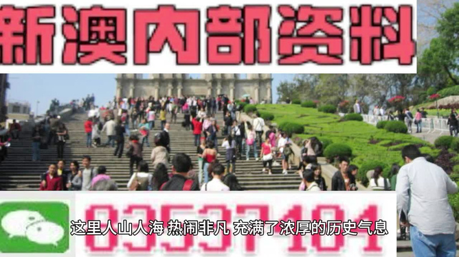 澳門最精準免費資料大全旅游團，探索澳門之旅的完美選擇，澳門最精準免費資料大全旅游團，探索澳門之旅的不二之選