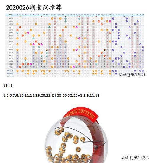 王中王026期指一生肖，深度解讀與SEO優(yōu)化策略，王中王026期生肖深度解讀與SEO優(yōu)化策略全解析