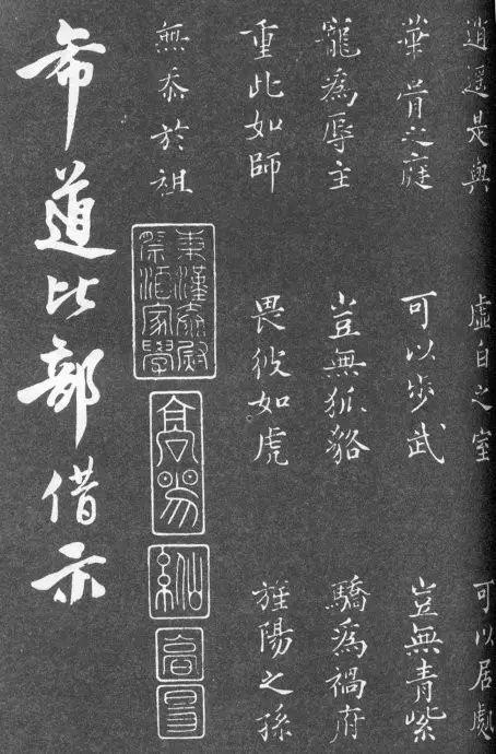 一肖二碼中特的意思解析，一肖二碼中特的意思深度解析