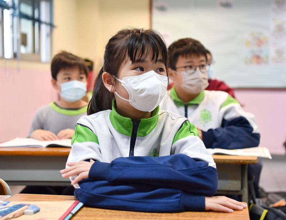 香港今晚必開一肖，深度解析與預測，香港今晚生肖預測，深度解析與獨家預測