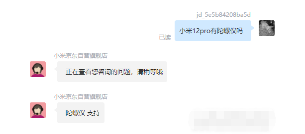 王中王一肖碼，探索關(guān)鍵詞背后的奧秘，王中王一肖碼，揭秘關(guān)鍵詞背后的奧秘