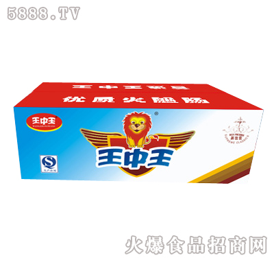 王中王一肖特圖，揭秘背后的故事與魅力，揭秘王中王一肖特圖的背后故事與魅力