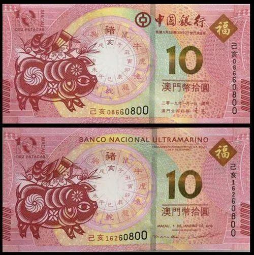 澳門天天彩期期精準十二生肖預測——揭秘彩票背后的秘密，澳門天天彩期期精準十二生肖預測，彩票背后的秘密大揭秘
