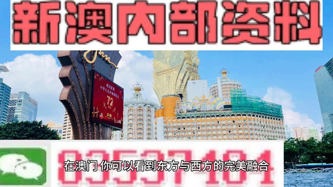 新澳新澳門正版資料，探索與解析，新澳新澳門正版資料深度解析與探索