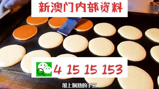 新澳門碼精準資料，揭秘與探索，揭秘新澳門碼精準資料探索之旅