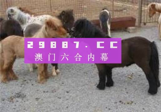王中王平特一肖四不像圖，深度解析與SEO優(yōu)化策略，王中王平特一肖四不像圖，深度解析與SEO優(yōu)化策略探討