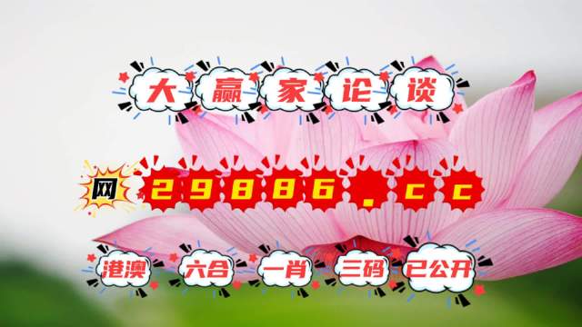 王中王資料提供一肖中特，深度解析與SEO優(yōu)化策略，王中王資料揭秘，一肖中特深度解析與SEO優(yōu)化策略全攻略