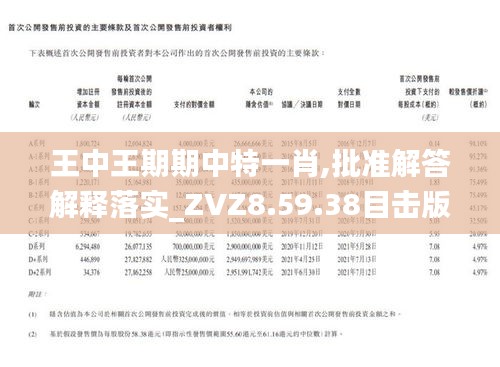 王中王期期一肖，揭秘背后的秘密與策略洞察，揭秘王中王期期一肖背后的秘密與策略洞察