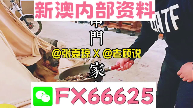新澳門(mén)精準(zhǔn)資料大全，管家婆料解析與探索，澳門(mén)精準(zhǔn)資料大全，管家婆料解析與深度探索