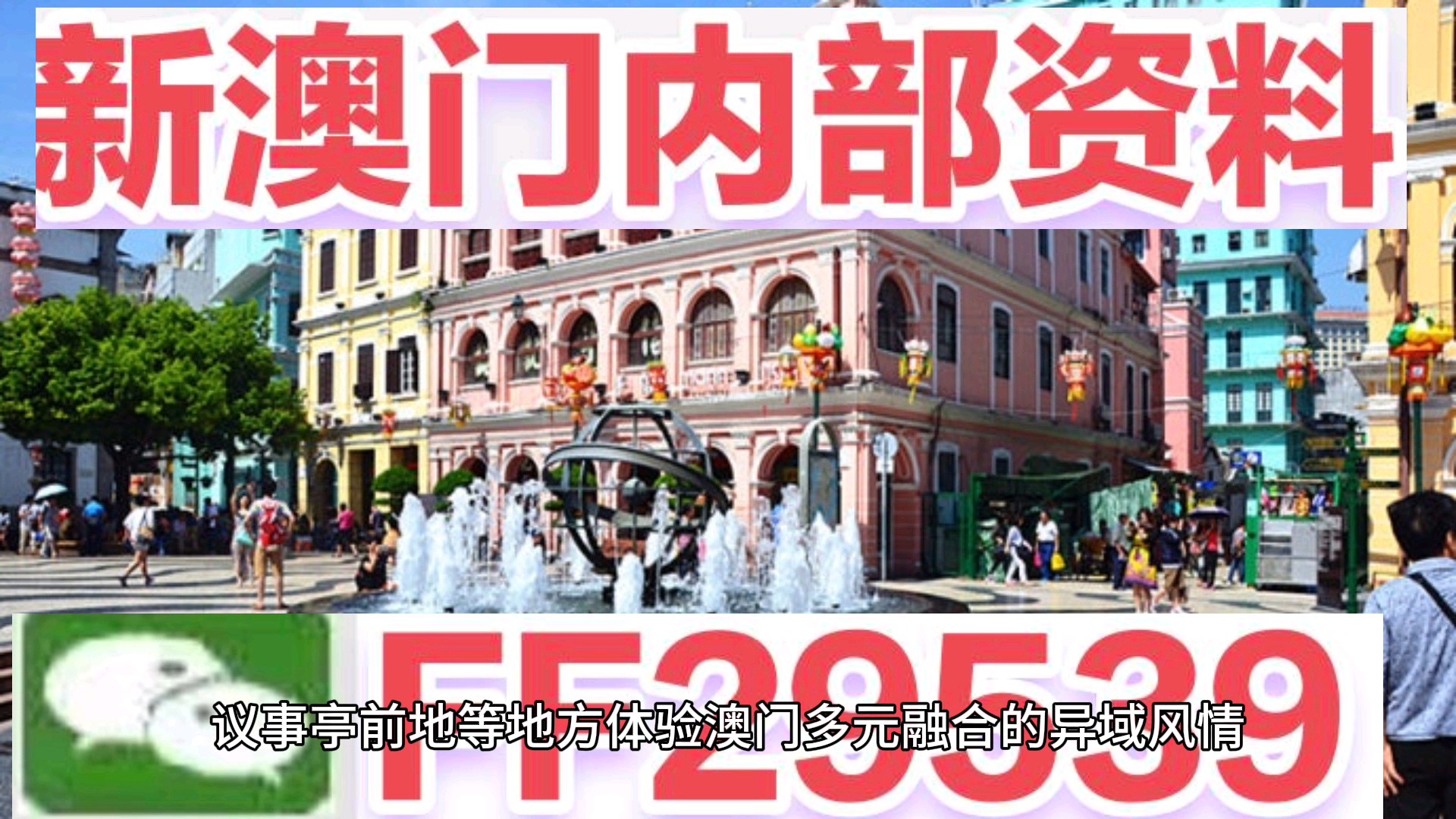 澳門今晚必開一肖一特，揭秘生肖彩票的魅力與策略，澳門生肖彩票揭秘，必開一肖一特的魅力與策略