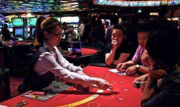 澳門金牛王中王一肖，探索背后的神秘與魅力，澳門金牛王中王一肖，神秘魅力背后的探索