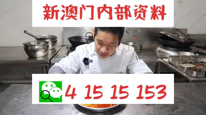 管家婆一肖資料大全，深度解析與探索，管家婆一肖資料深度解析與探索大全