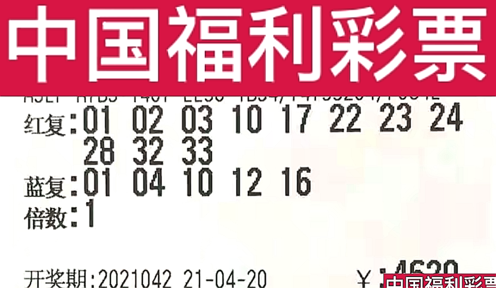 新奧門今晚開獎結果查詢第243期，全面解析與預測，新奧門第243期開獎結果解析與預測，今晚開獎揭秘
