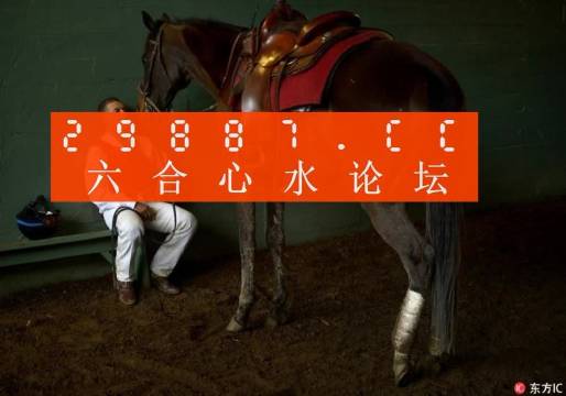 一肖一馬王中王一馬中特，深度解析與SEO優(yōu)化策略，一肖一馬王中王深度解析與SEO優(yōu)化策略探討