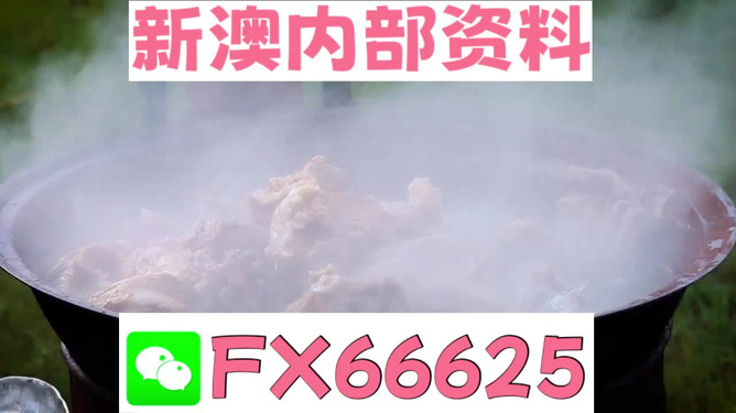 新澳全年免費資料大全，一站式獲取優(yōu)質資源指南，新澳全年優(yōu)質資源免費獲取指南