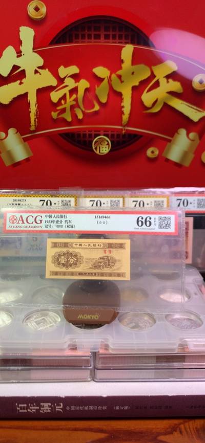 王中王一字一句拆一肖，深度解析背后的奧秘，王中王拆字揭秘，探尋背后奧秘揭曉生肖之謎