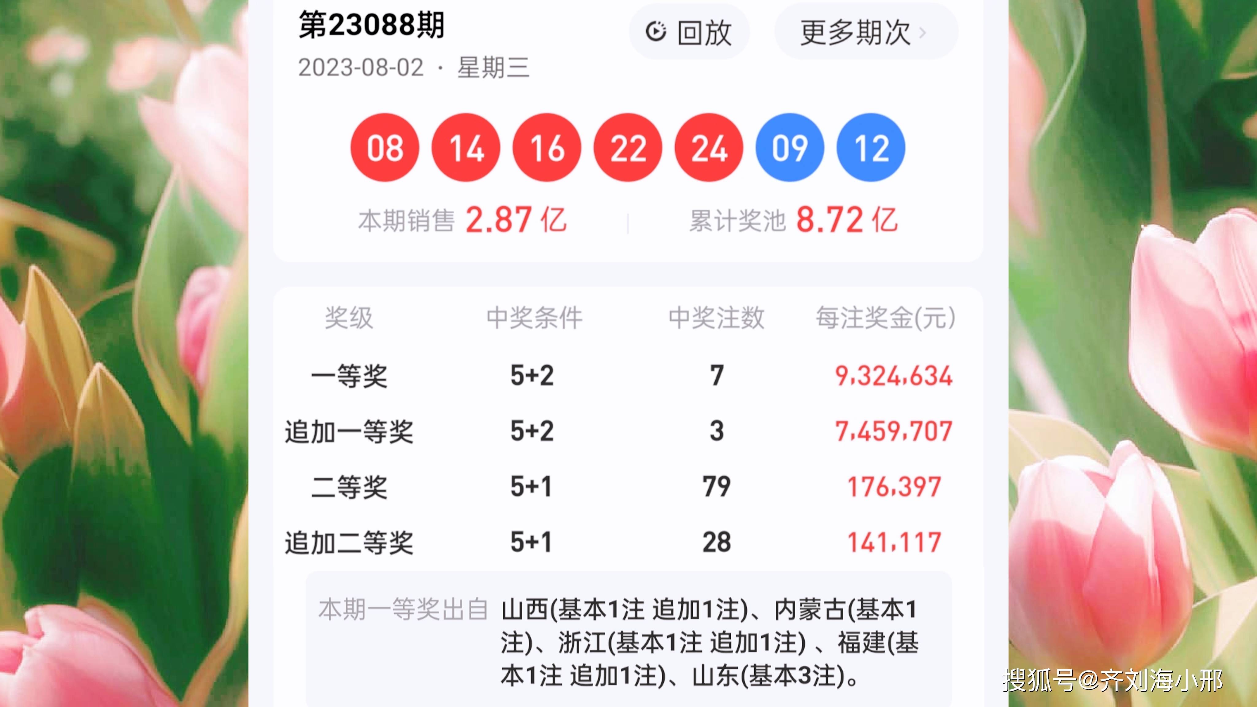 最新開獎結(jié)果揭曉，王中王與一肖中的幸運(yùn)時刻，王中王與一肖中幸運(yùn)時刻揭曉，最新開獎結(jié)果出爐