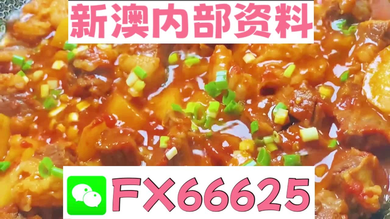 新奧天天免費(fèi)資料大全——探索與優(yōu)化的SEO之旅，新奧天天免費(fèi)資料大全，SEO探索與優(yōu)化之旅