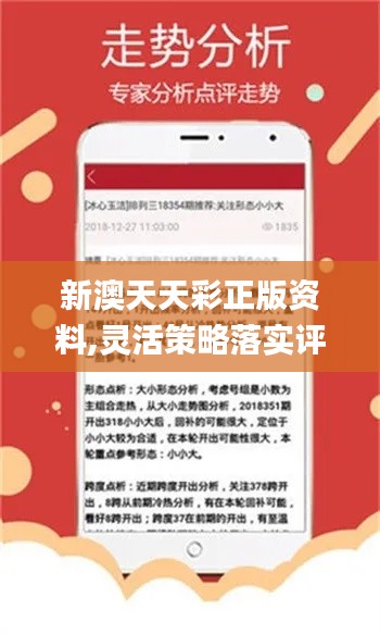 新澳天天開(kāi)彩期期精準(zhǔn)，揭秘彩票預(yù)測(cè)背后的秘密，揭秘彩票預(yù)測(cè)真相，新澳天天開(kāi)彩期期精準(zhǔn)之奧秘