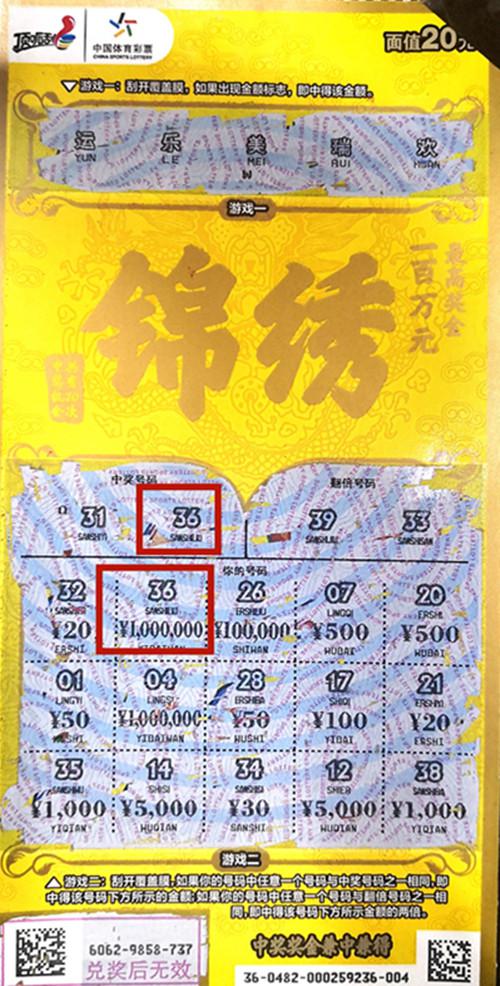 王中王六肖一碼期期中的奧秘與探索，王中王六肖一碼期奧秘揭秘與探索