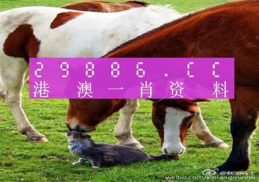 新奧門一肖一碼，揭秘精準預測的秘密，揭秘新澳門一肖一碼精準預測的秘密