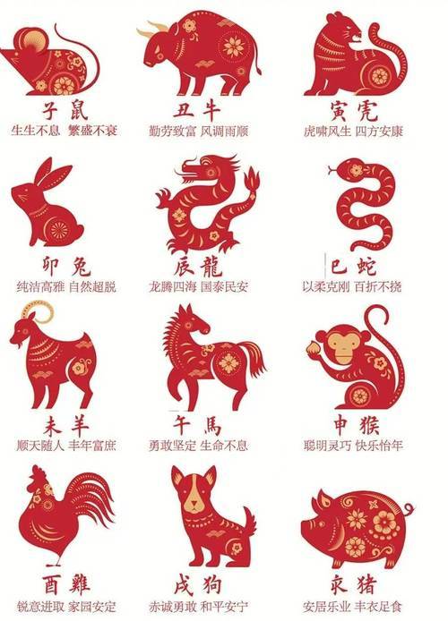 新澳特碼，羊?；⒏鲾?shù)10的獨特魅力與探索，新澳特碼，羊?；⒏鲾?shù)10的獨特魅力與奧秘探索