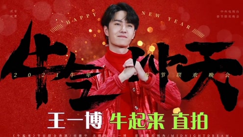 探尋王中王，揭秘發(fā)個王中王一肖中特背后的奧秘，揭秘王中王，探尋發(fā)個王中王一肖中特背后的神秘奧秘