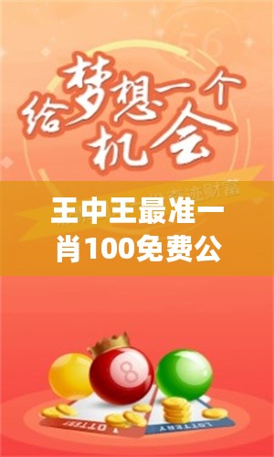 王中王一肖一嗎期期中，深度解析與探索，王中王一肖一，深度解析與探索期中的奧秘