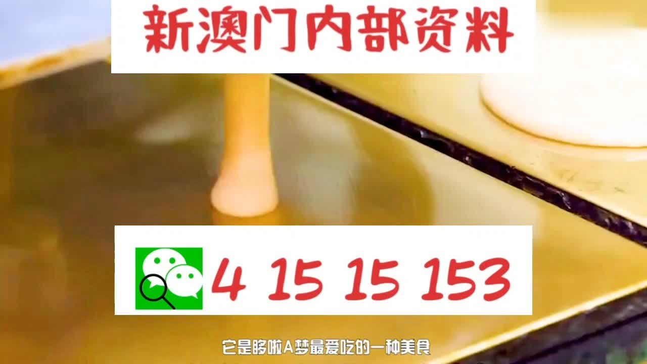 新澳門內(nèi)部十碼中特，探索與解析，新澳門內(nèi)部十碼中特，深度探索與解析