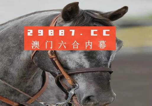 澳門一一碼一特一中準(zhǔn)選今晚，探索真實有效的選擇與策略，澳門今晚一特一中準(zhǔn)選碼，真實有效的選擇與策略探索