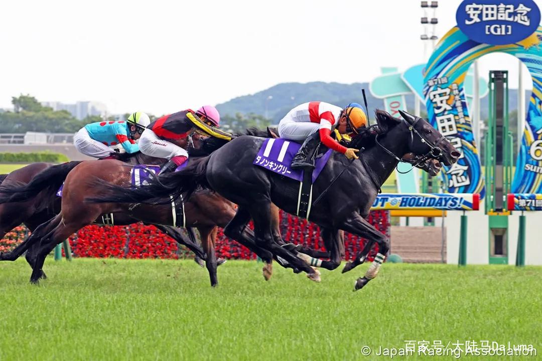 香港王中王與一馬中特肖的獨(dú)特魅力，深度解析與探索，香港王中王與一馬中特肖的獨(dú)特魅力，深度探索與解析