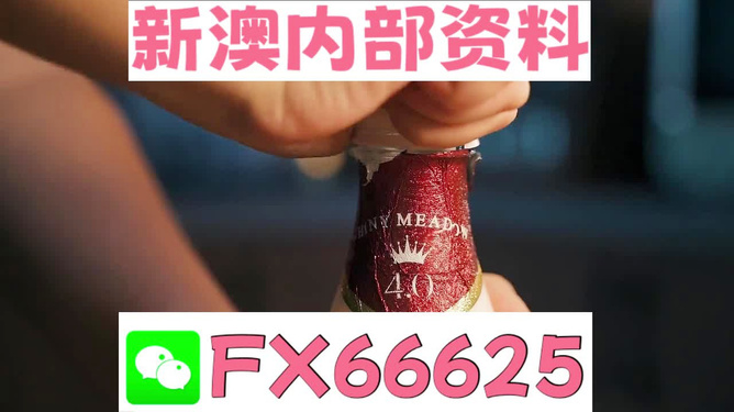 新澳門一碼一碼，揭秘精準(zhǔn)預(yù)測的秘密與真相，揭秘澳門一碼一碼精準(zhǔn)預(yù)測的秘密與真相