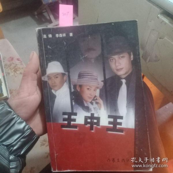 王中王資料一肖中天，深度解析與探索，王中王資料一肖中天，深度剖析與探索