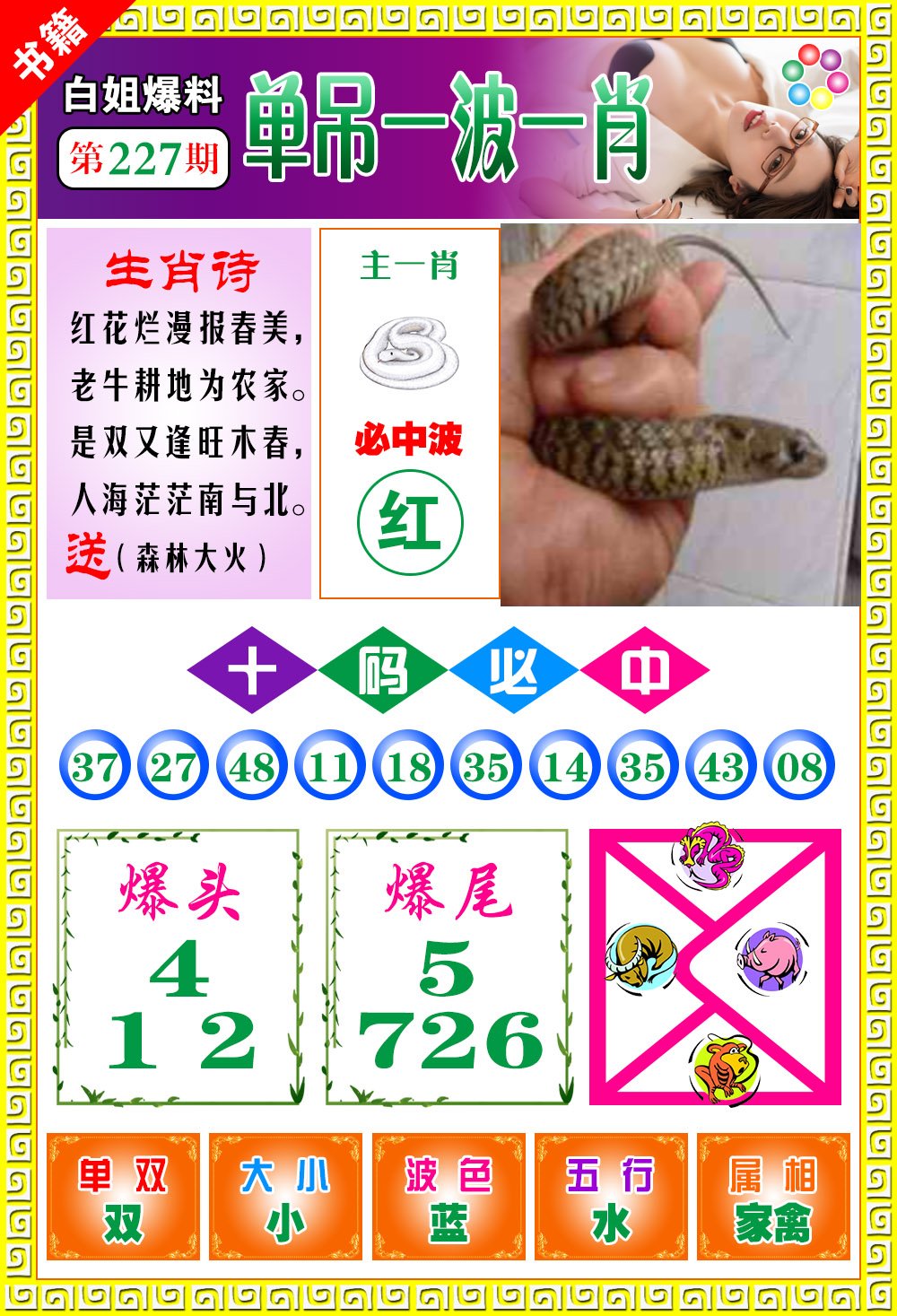王中王免費(fèi)開(kāi)獎(jiǎng)一肖結(jié)果，揭秘彩票背后的秘密，揭秘王中王彩票開(kāi)獎(jiǎng)內(nèi)幕，一肖結(jié)果背后的秘密揭曉